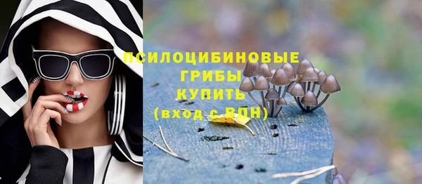 крисы Алексеевка