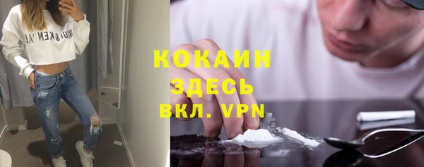 молекула духа Алзамай