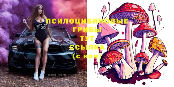 дживик Мегион