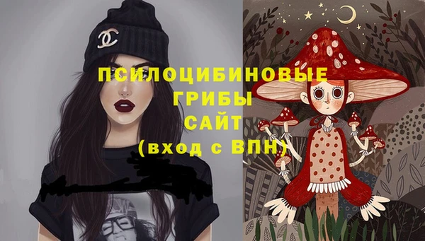 мдма Медвежьегорск